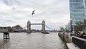 IMG_20170504_141106