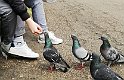 IMG_20170506_140653