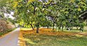 Park Jardín del Turia w centrum Walencji ma aż 9km